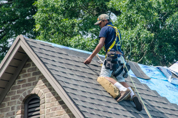 Best Roof Repair Services  in Xenia, OH